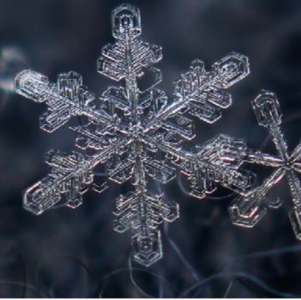 Meet your Posher, Mimicamilleri